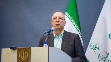 محمدعلی زلفیگل، وزیرعلوم، تحقیقات و فناوری
