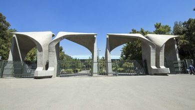 دانشگاه تهران