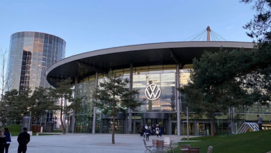 بنیاد فولکس واگن، آلمان