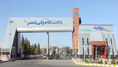 دانشگاه ولی عصر رفسنجان