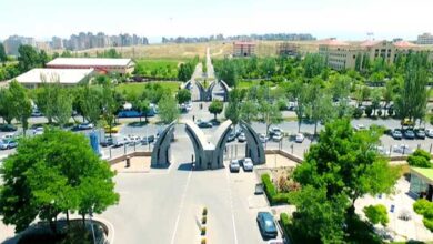 دانشگاه محقق اردبیلی