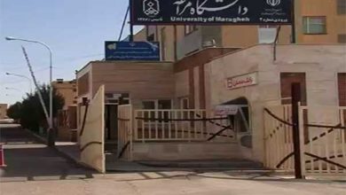 دانشگاه مراغه