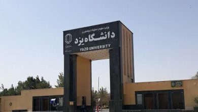 دانشگاه یزد