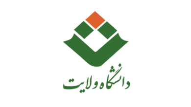 دانشگاه ولایت