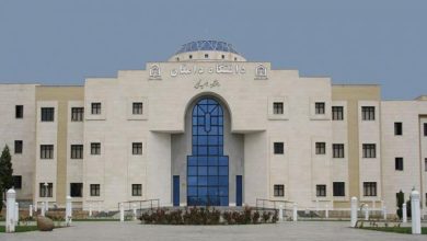 دانشگاه دامغان