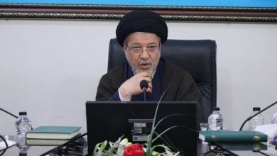 شورای عالی انقلاب فرهنگی، دکتر سید سعیدرضا عاملی