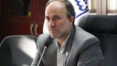 هاشم داداش‌پور رییس سازمان امور دانشجویان