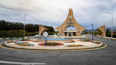 دانشگاه بیرجند