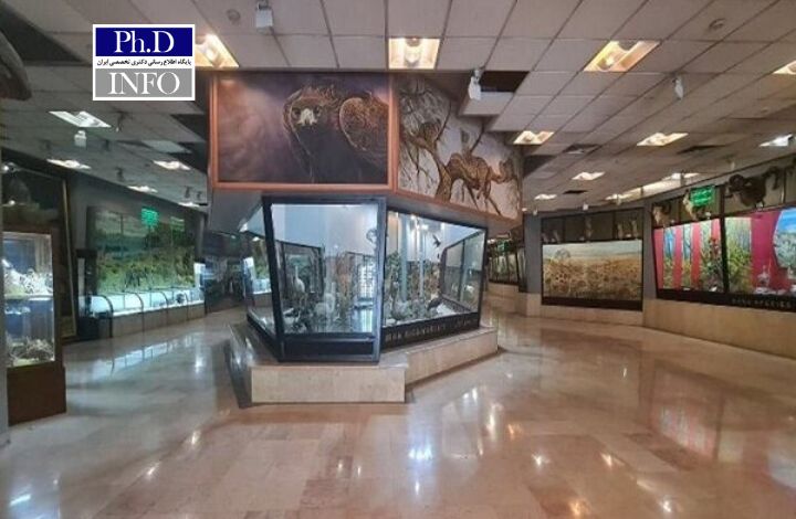 بازدید رایگان دانشجویان و اساتید از موزه‌ها و اماکن تاریخی در روزهای ۱۶ و ۱۷ آذر